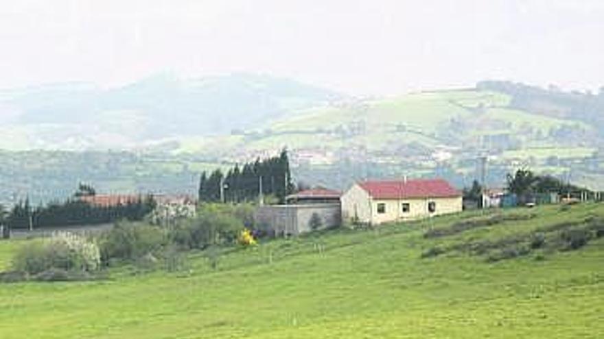 Terrenos de San Andrés de los Tacones afectados por la ZALIA.