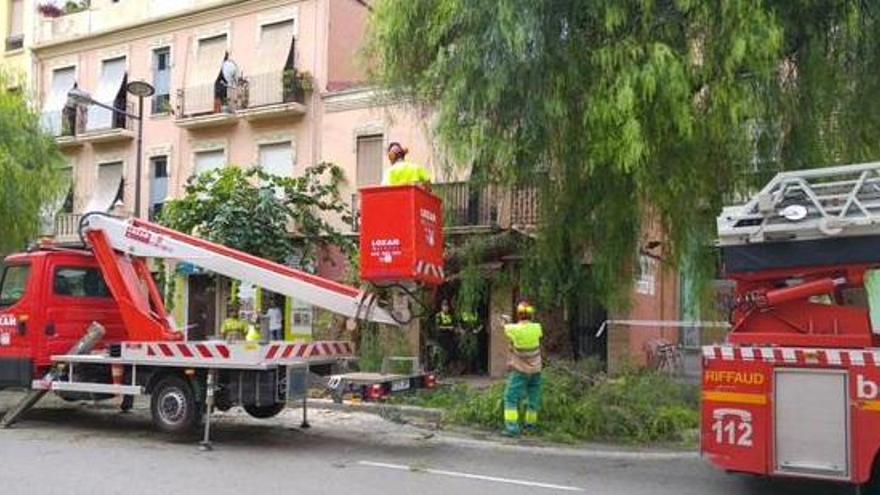 Los empleados de jardines retirando los restos de la acera