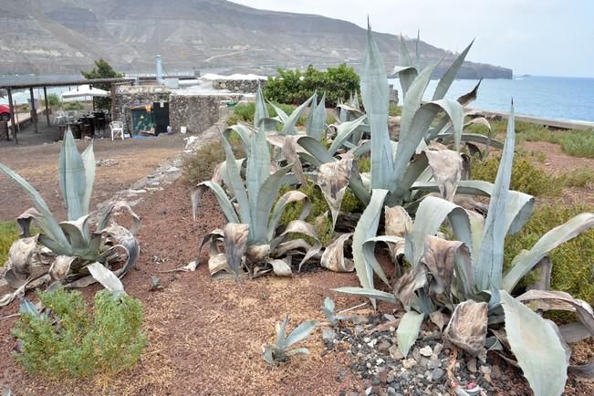 MAL ESTADO COSTA DESDE LA PUNTILLA PLAYA CHICA ...