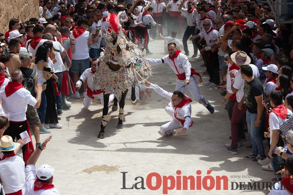 Así ha sido la carrera de los Caballos del Vino en Caravaca