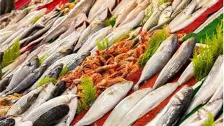 Los peces sufren hasta 22 minutos de intenso dolor cuando se los retira del agua