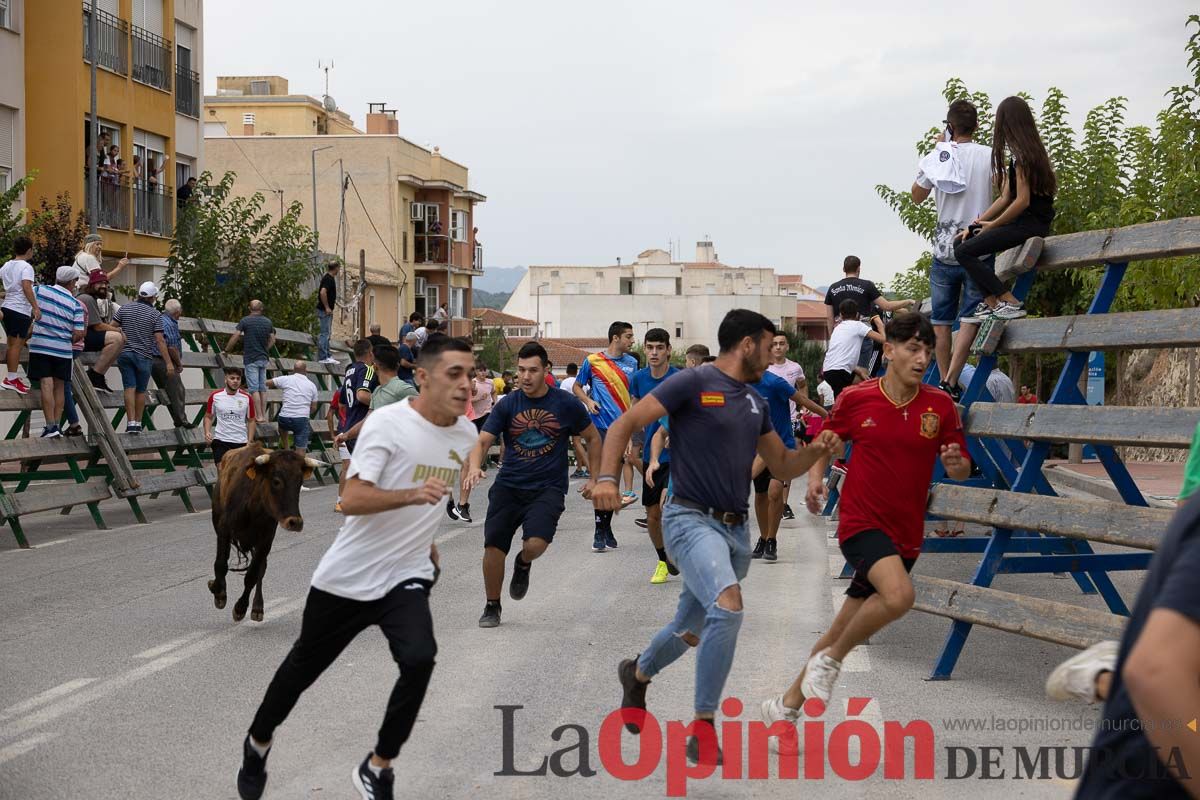 Chupinazo y encierro chico en Calasparra