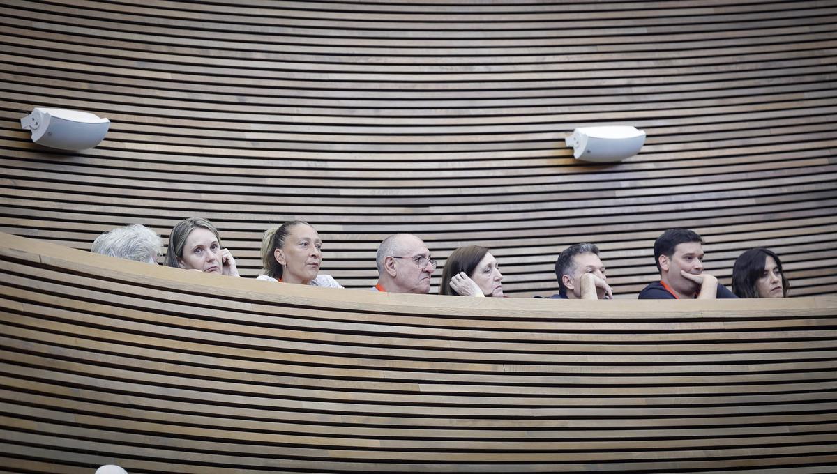 Representantes de las asociaciones de la dana presencian el debate en las Corts sobre el dictamen de la comision