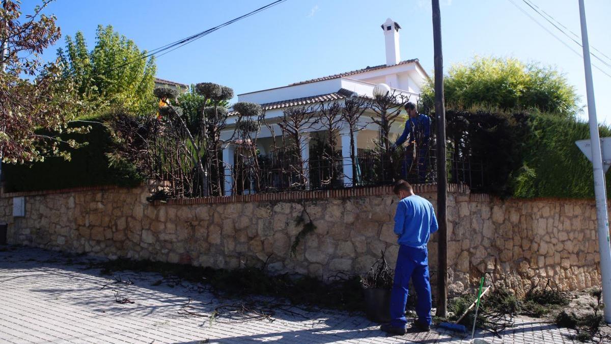 Otro incendio de setos en El Brillante por tercer sábado consecutivo y en la misma calle