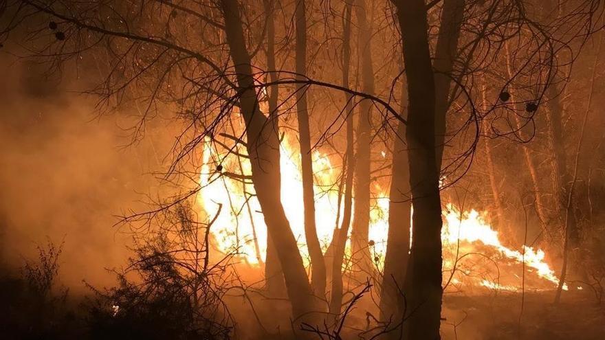 Arden  500 metros cuadrados de terreno forestal en El Castell de Guadalest