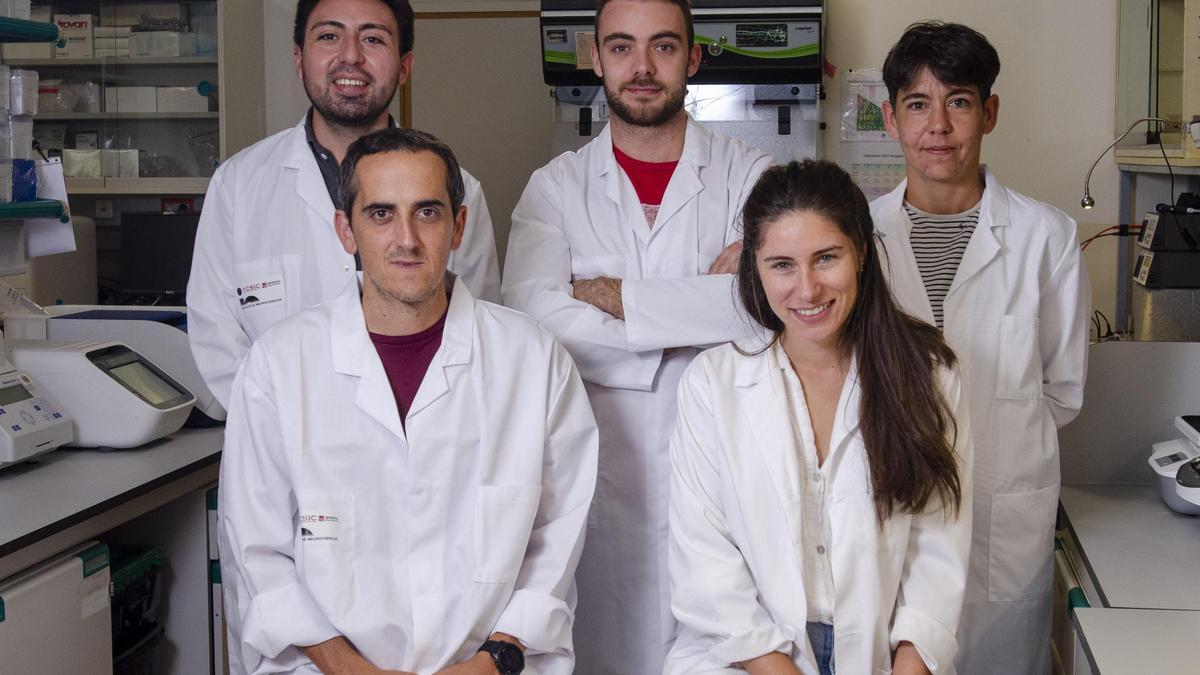 Abajo primero por la izquierda, el investigador José Vicente Sánchez Mut, con parte su equipo, este miércoles en el Instituto de Neurociencias, en el campus de Sant Joan.