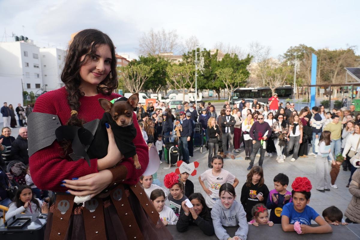 Mascotas disfrazadas en el Carnaval del Grau de Castelló. ¿Has participado? Búscate en esta divertida iniciativa