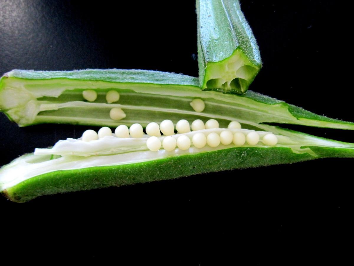 La okra es un vegetal rico en fibra y vitaminas.