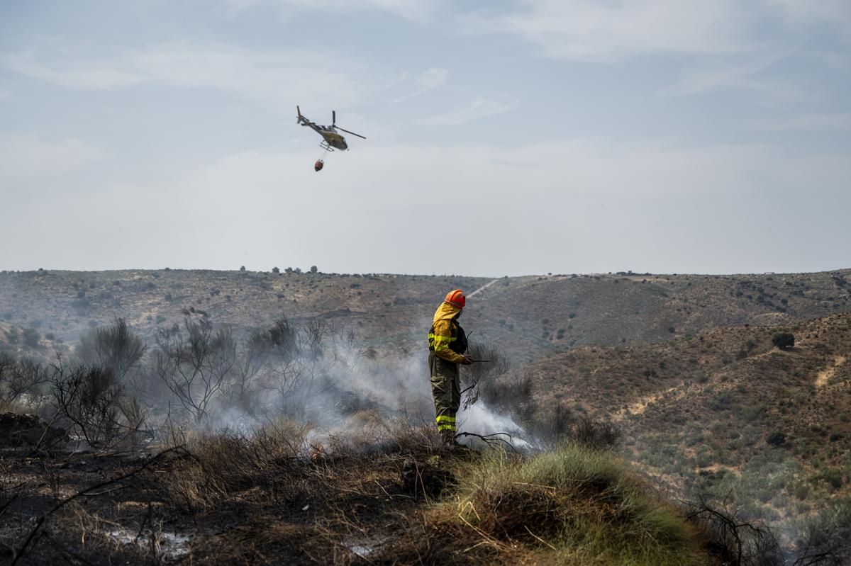 Fotogalería | Así ha sido el incendio forestal en Garrovillas de Alconetar