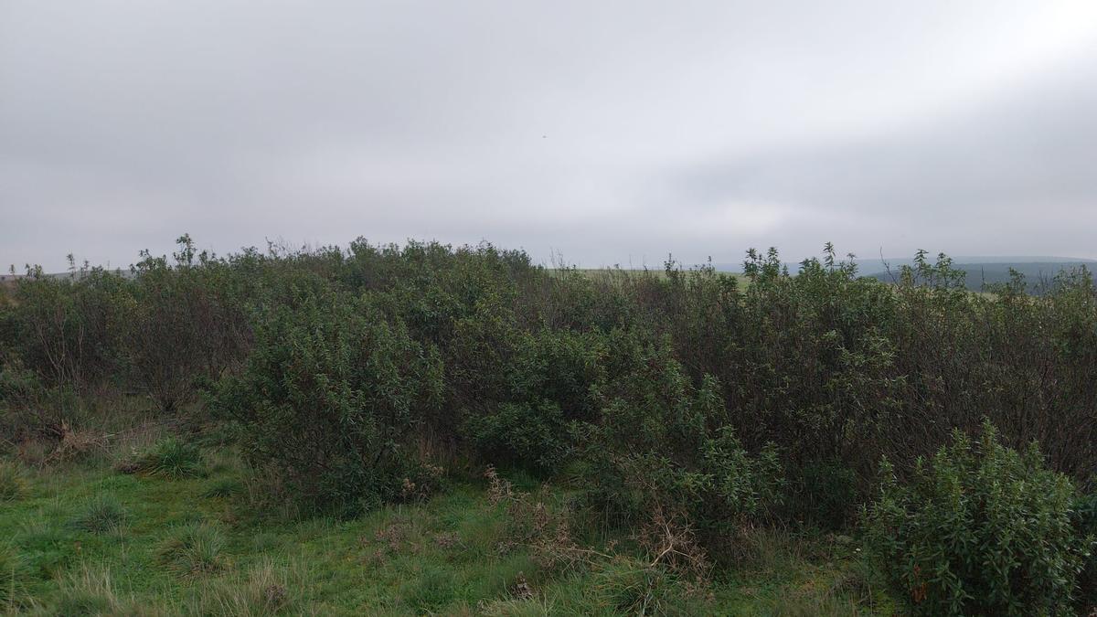 Terrenos en Santa Eufemia del Barco