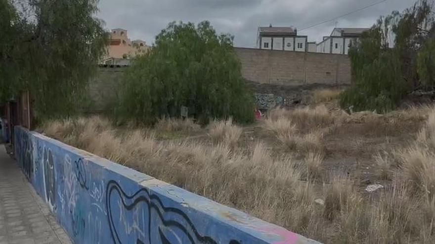 Casetas de campaña y ropa tendida en un árbol, en un solar de Santa Cruz