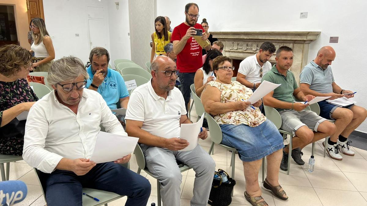 Los alcaldes que han asistido a la reunión