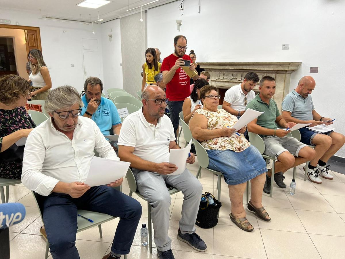 Los alcaldes que han asistido a la reunión