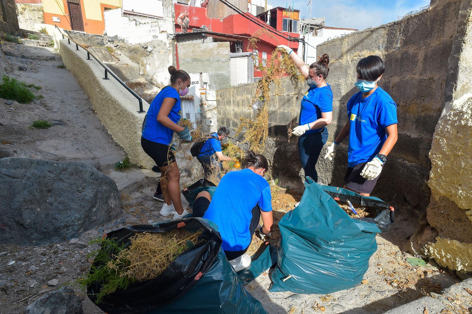 Alumnos de la ULPGC participan en las tareas de limpieza y embellecimiento en El Risco