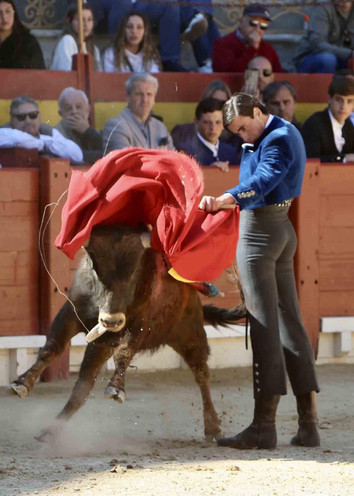 Éxito artístico en el V certamen José María Manzanares de Alicante