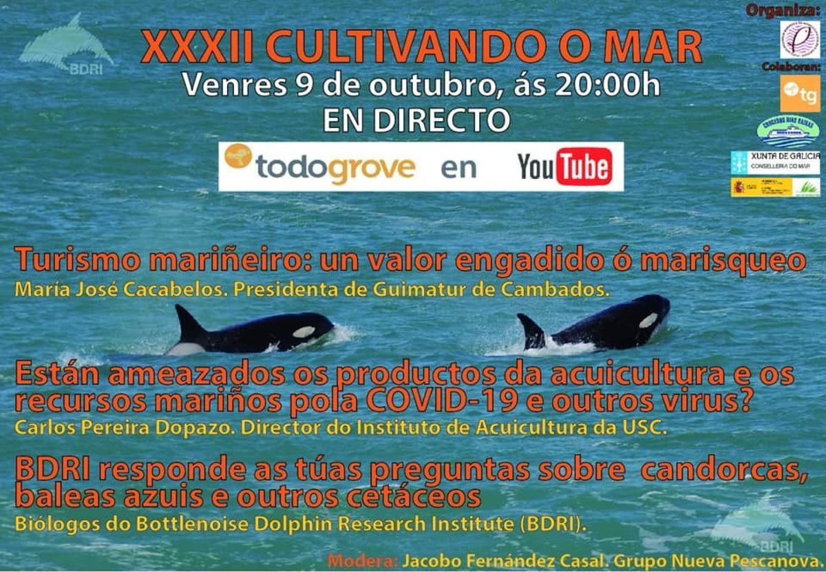 Las jornadas gastronómicas de O Grove arrancan con una clase de cocina y "Cultivando o mar"