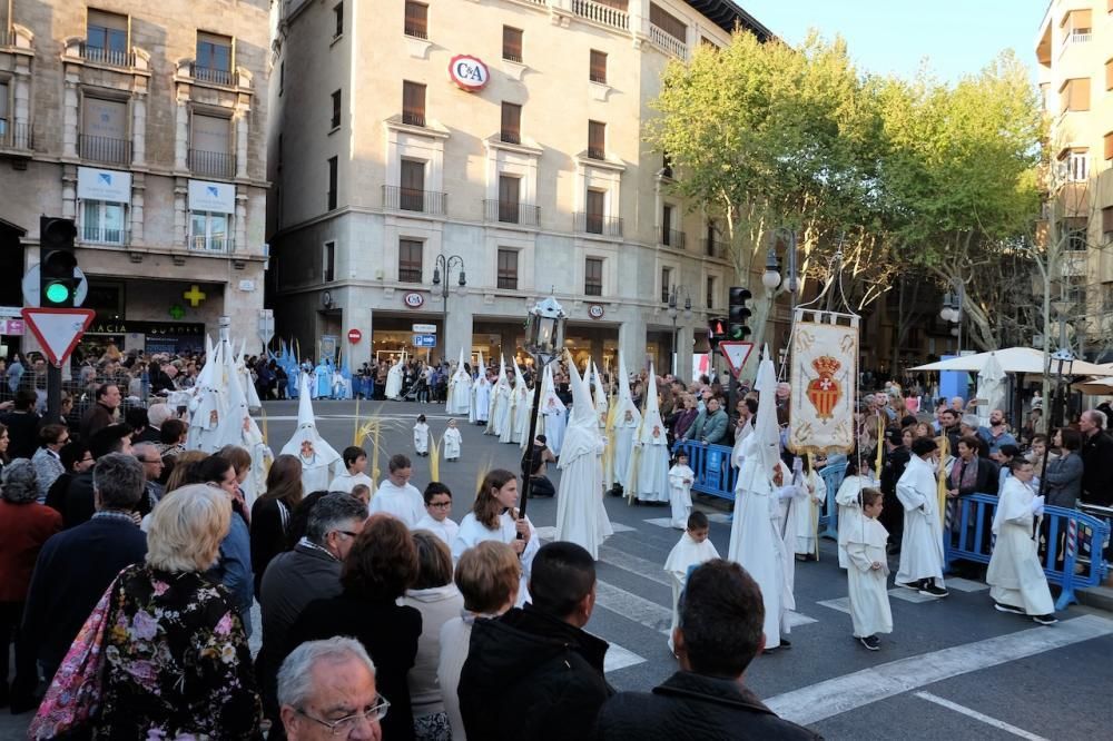 Prozession Ostern 2017 Palma Mallorca Palmsonntag