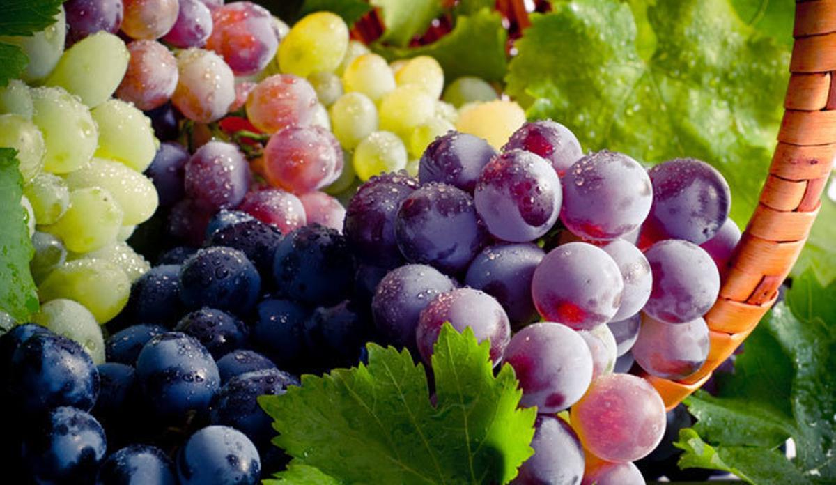 El top 10 de los alimentos más antioxidantes