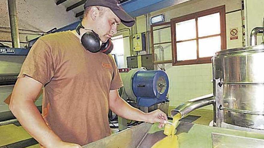 Un trabajador de la cooperativa agrícola de Sóller.