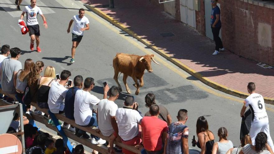 Las vaquillas triunfan