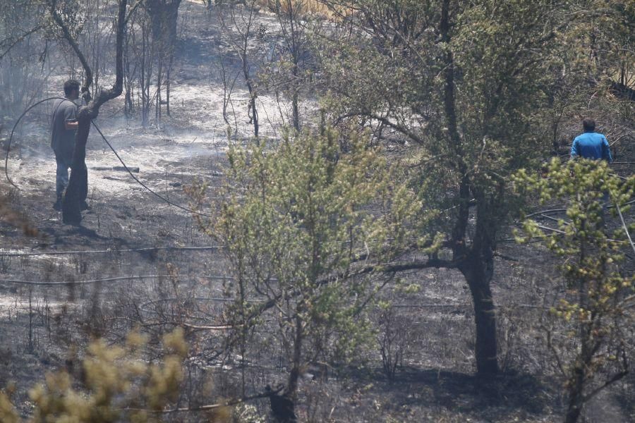 Fuego en las bodegas de Valcabadino