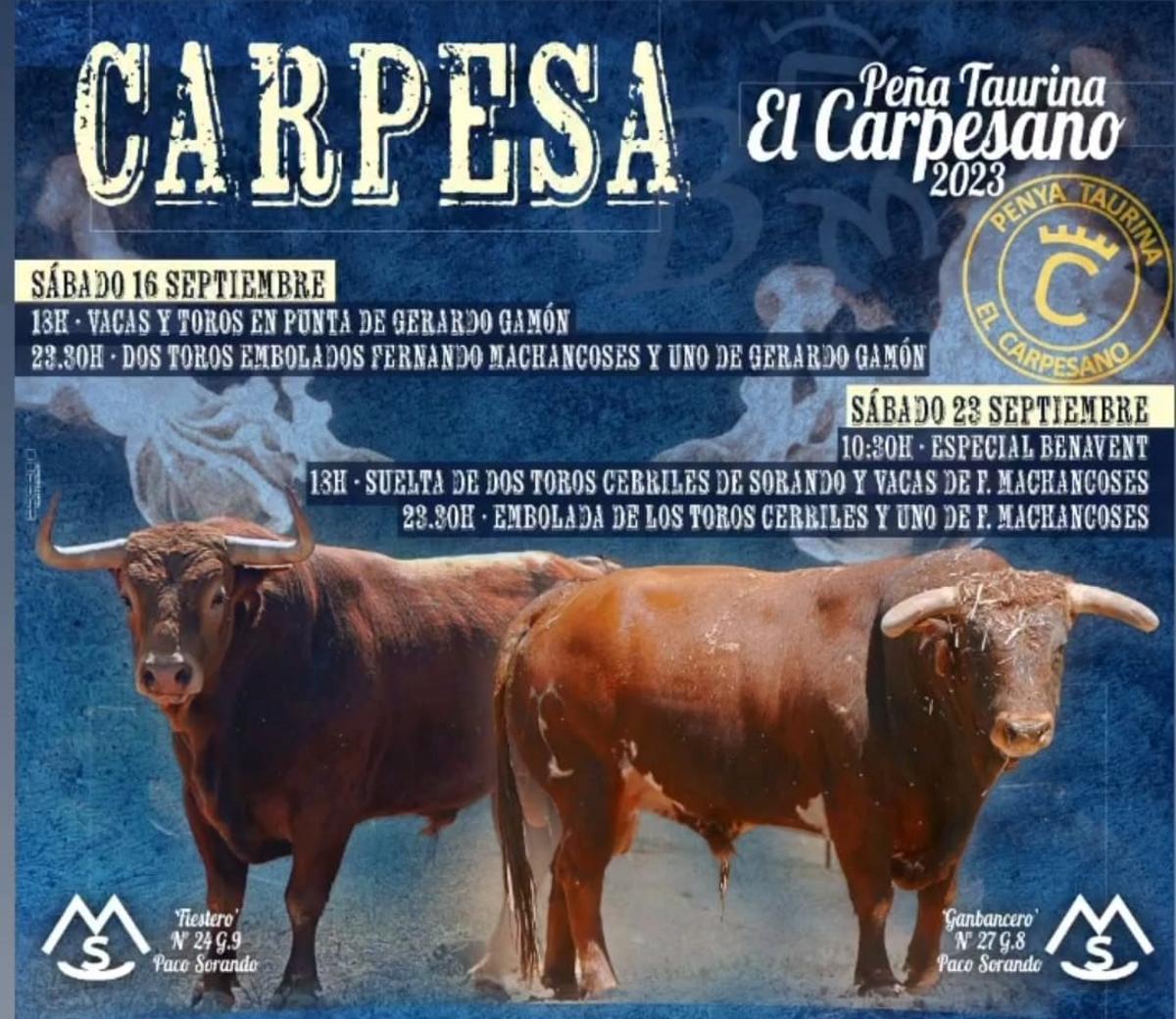 Cartel de los festejos taurinos de Carpesa donde se anuncian los toros embolados.