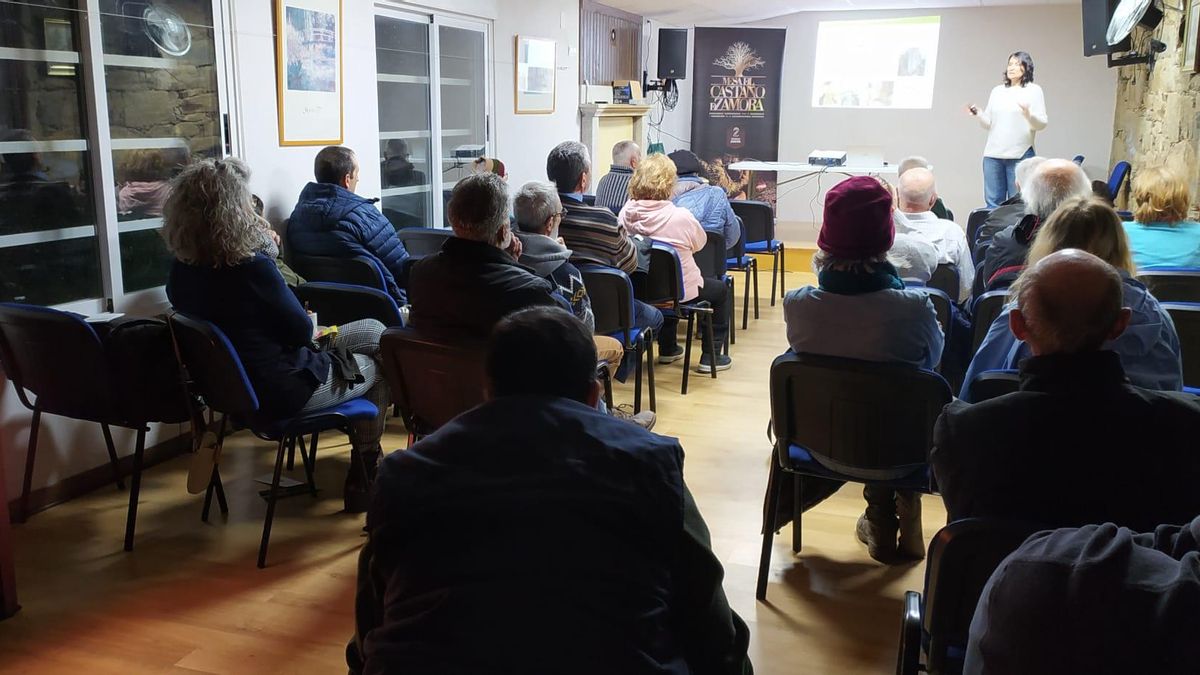 Reunión de la Mesa del Castaño en Sanabria y la Carballeda