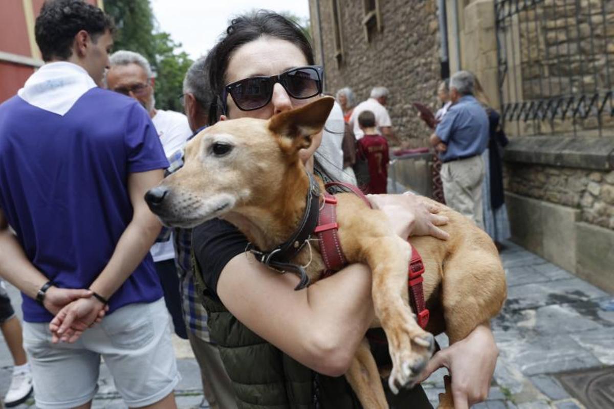 EN IMÁGENES: la bendición de San Roque a las mascotas en El Carbayedo, en Avilés