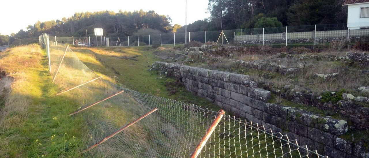 La maleza se ha adueñado del terreno tras tantos años sin cuidados. |