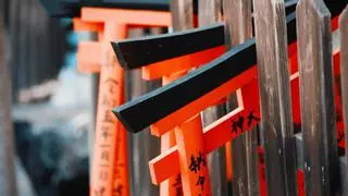 El método japonés eficaz para acabar con los mosquitos en verano