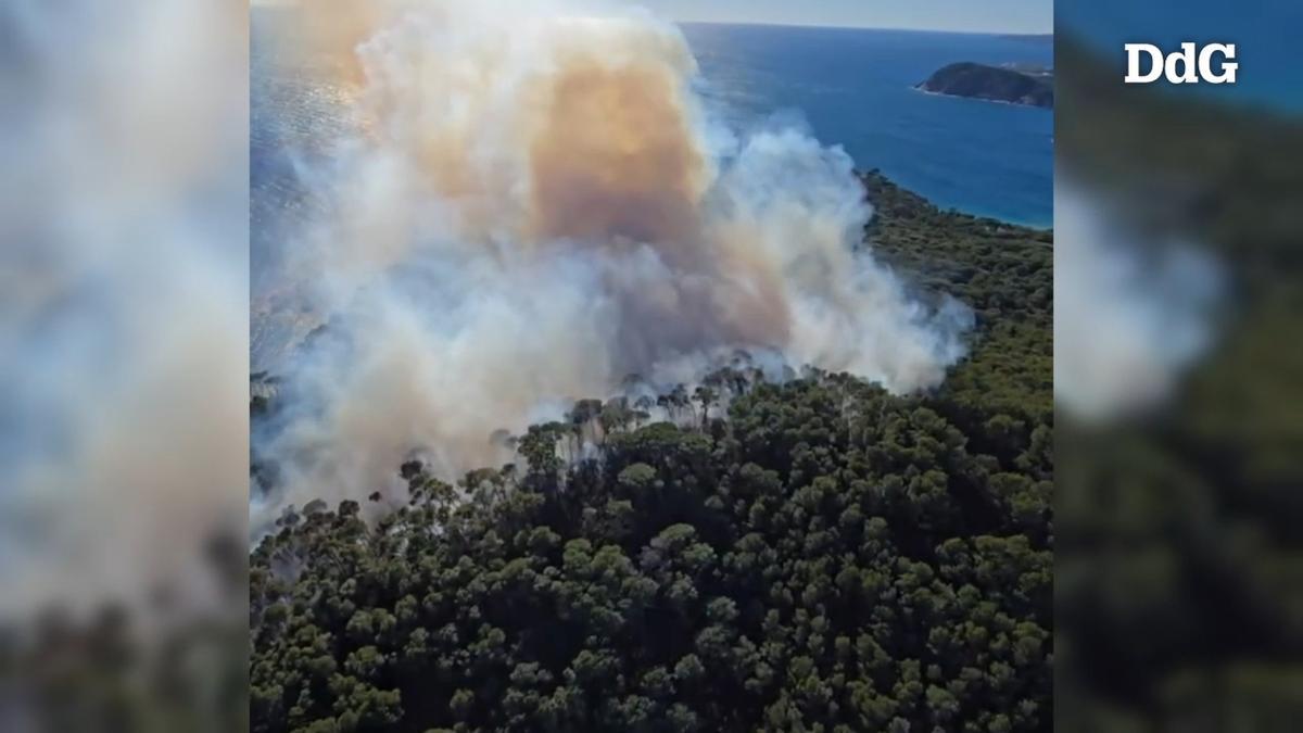 Vídeo | Imatges aèries de l'incendi forestal de Palamós