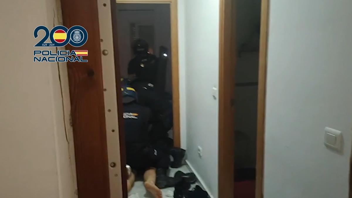 Desarticulada en Málaga una organización criminal dedicada al cultivo de Marihuana
