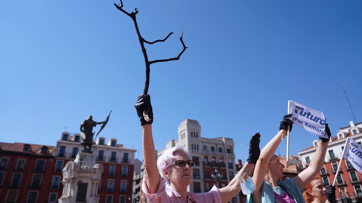 Imagen de la manifestación de Futuro en Valladolid