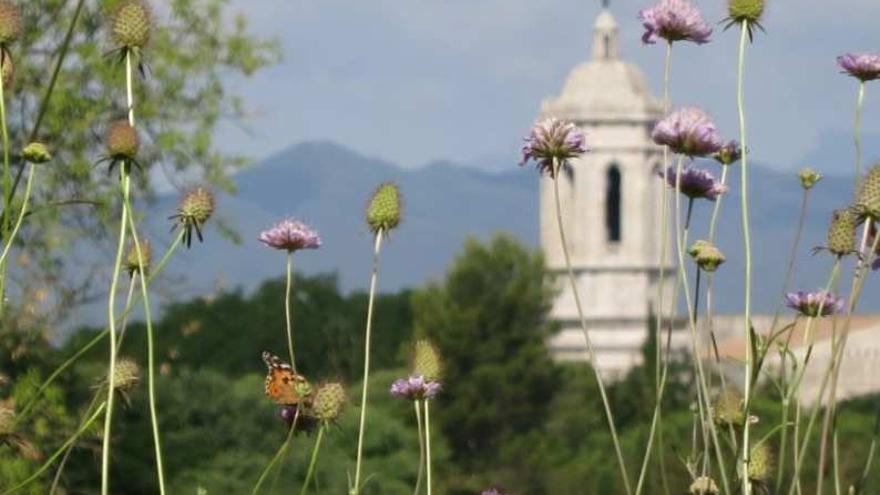 L’Ajuntament de Girona promou la participació ciutadana en la renaturalització de la ciutat