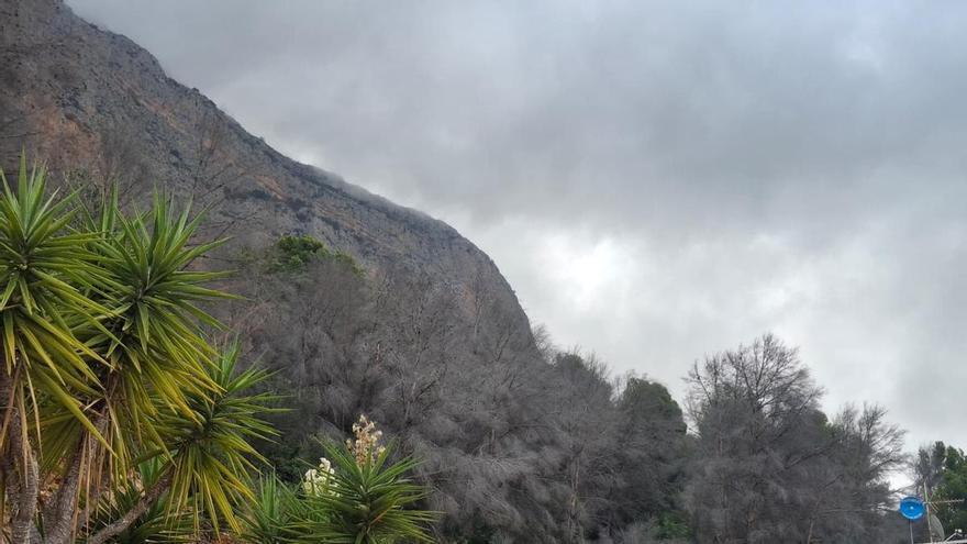 El bochorno abraza el Montgó: la ladera de Xàbia llegó el martes a 40º (imágenes)