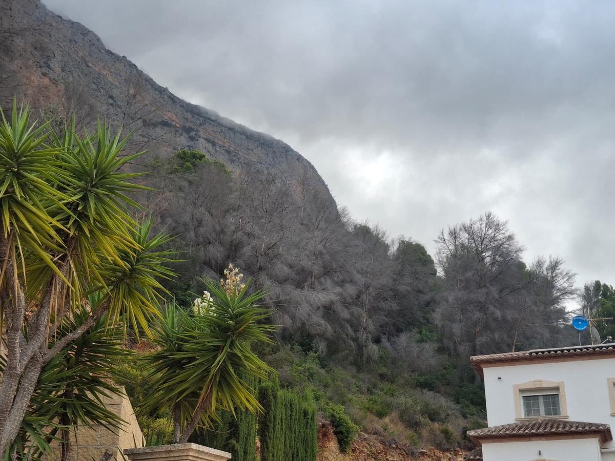 El bochorno abraza el Montgó: la ladera de Xàbia llegó el martes a 40º (imágenes)