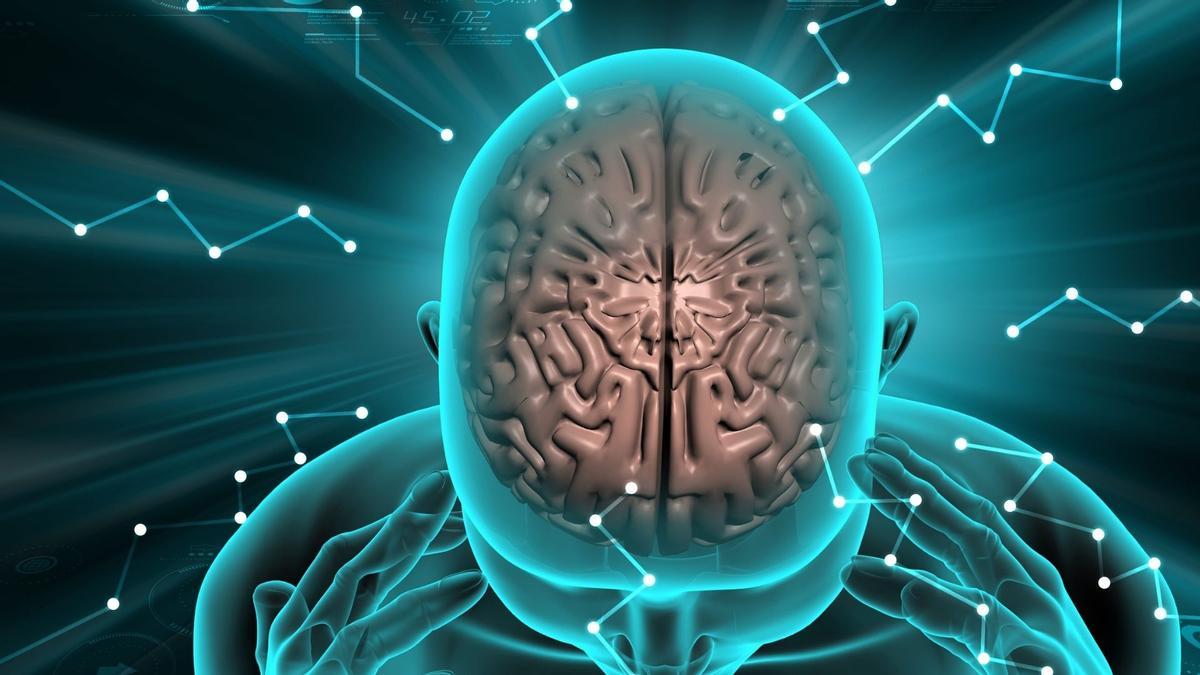 Las conexiones del cerebro nos ayudan a disfrutar dela vida