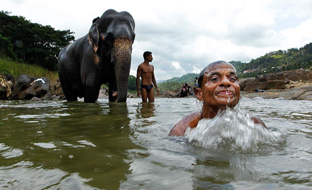 Un home es refresca en un riu de Kandy, a Sri Lanka, mentre un altre s’ocupa de netejar el seu elefant.