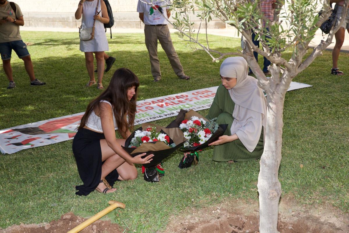 Estudiantes, depositando flores bajo el &quot;olivo por Palestina&quot; de la UA