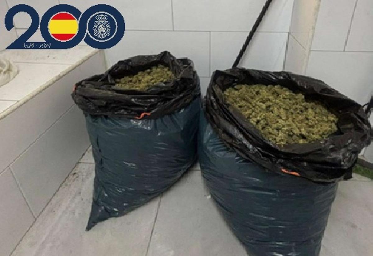 Sacos con sustancias hallados por la Policía en La Paz.