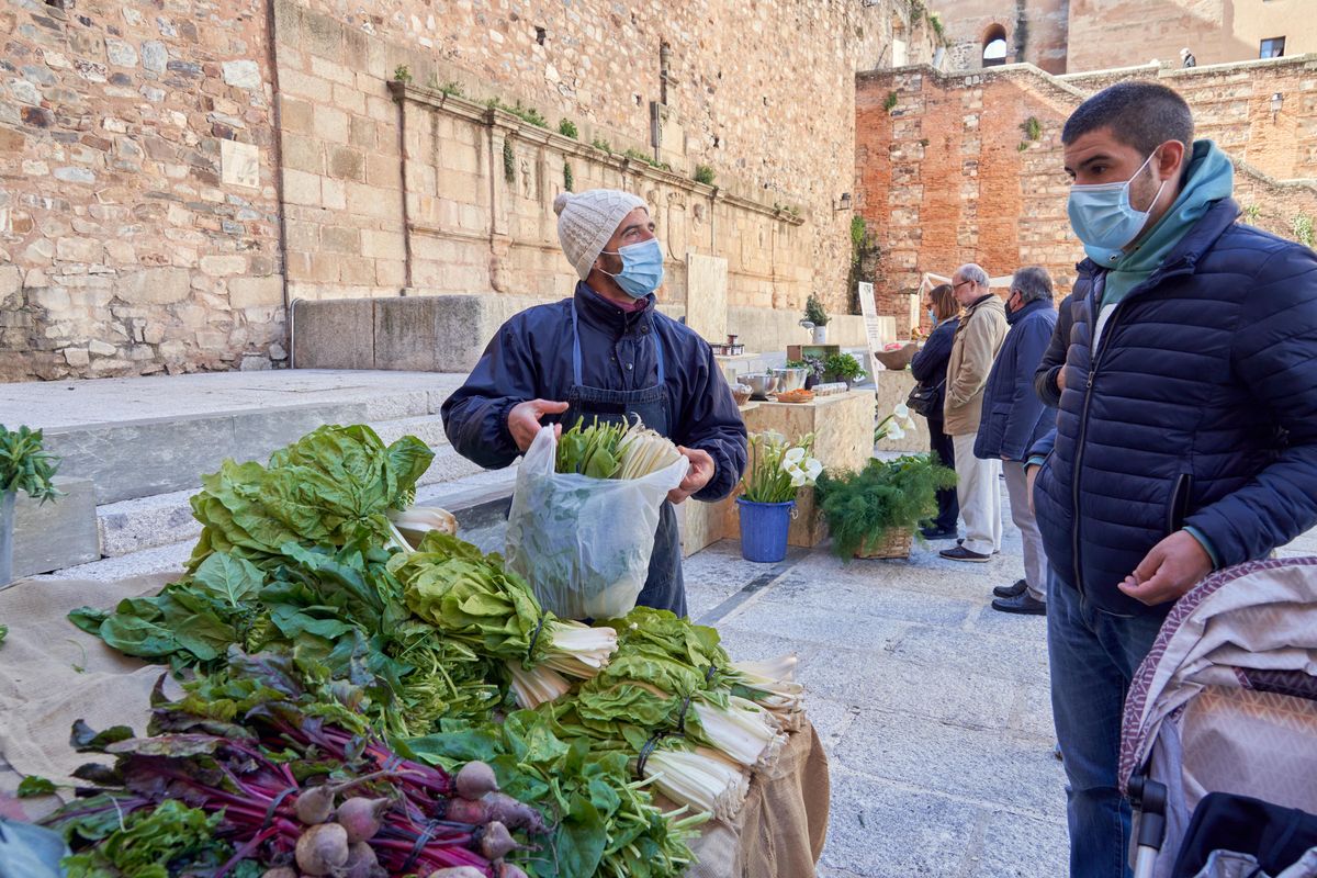 El Biomercado celebró su segunda cita con una nutrida afluencia en el Foro de los Balbos de Cáceres.