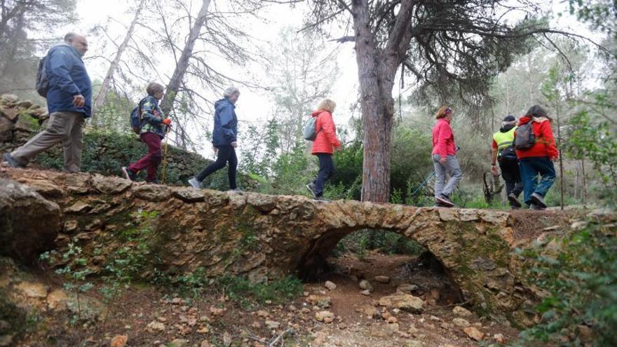 Un paseo contra el cáncer  | FOTOS DE VICENT MARÍ