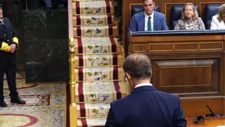 El discurso de Feijóo, bajo la lupa: amnistía, familias, democracia... ¿cuántas veces ha dicho cada término?