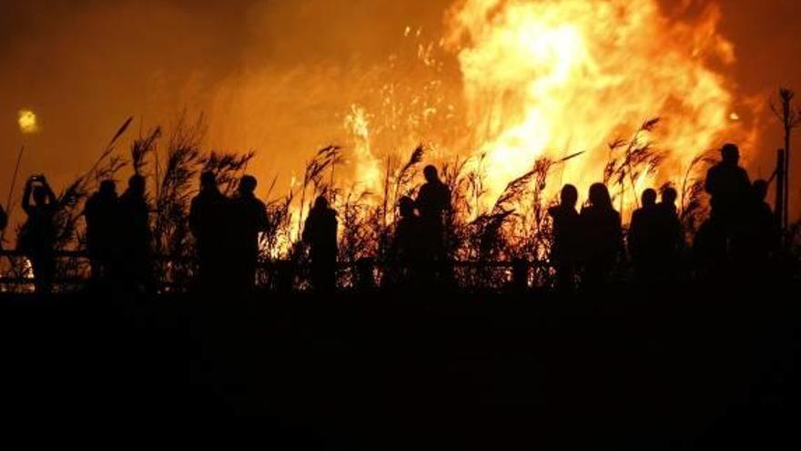 Antes y después del paso del fuego junto al río