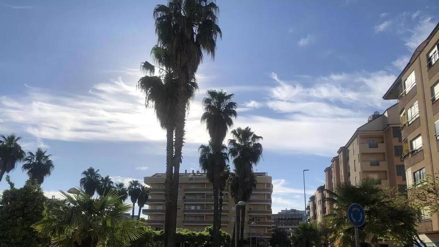 El Edificio Atenas en la plaza de Cáceres que huele a azahar pero que no cuida sus escudos