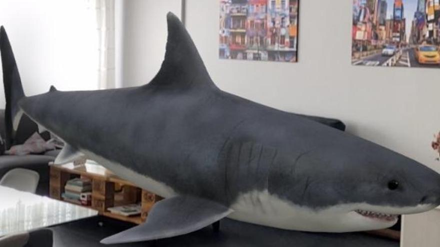 Cómo meter un tiburón en tu salón de casa