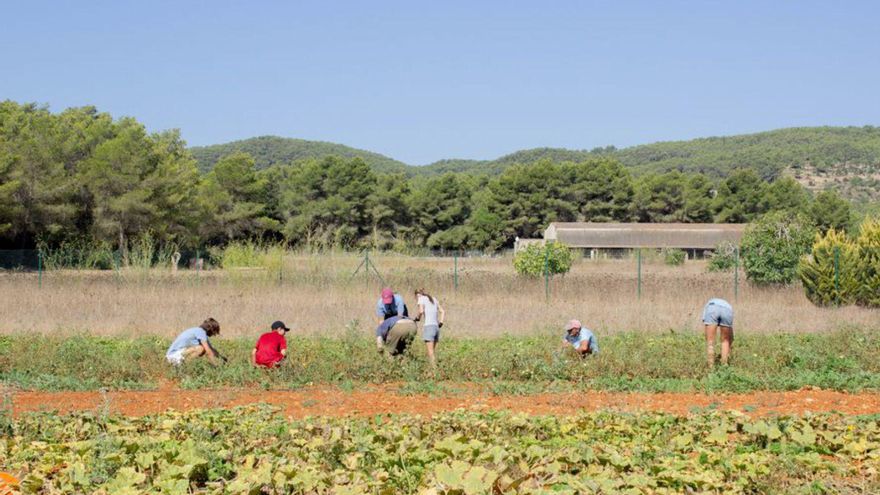 Fiesta a beneficio de Cáritas Ibiza en Can Tanca