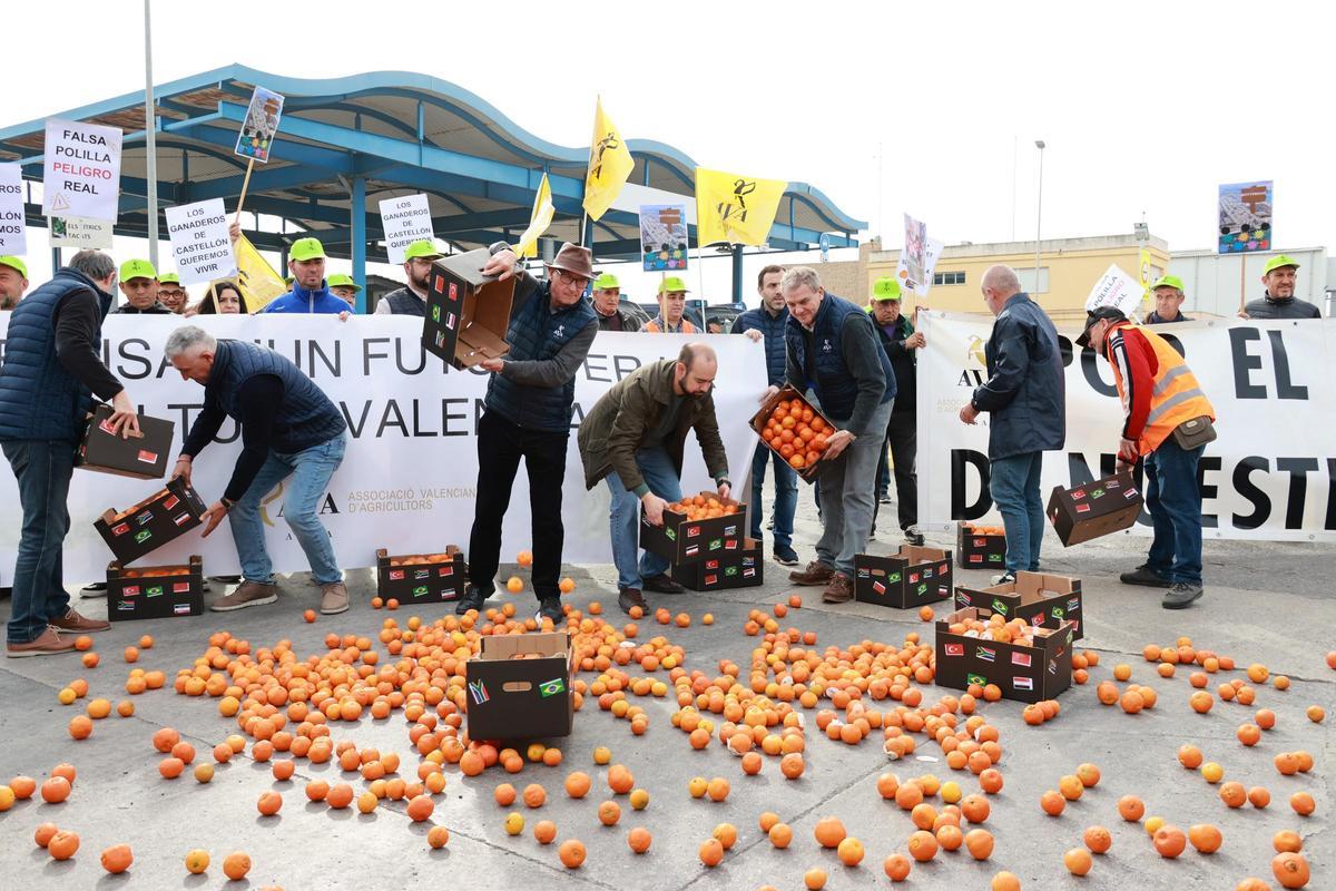 Protesta de dirigentes agrarios en el Puerto de Castelló por las importaciones de cítricos de Egipto.