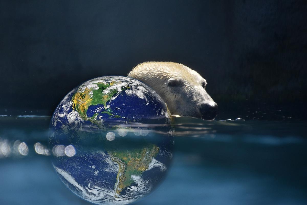 Los plazos para preservar la vida en el planeta se agotan.