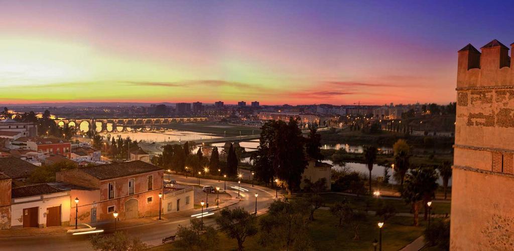 Badajoz desde la Alcazaba
